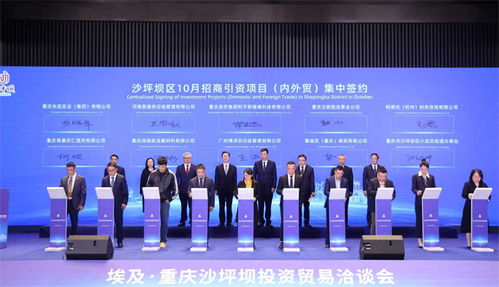 重慶沙坪壩投資貿(mào)易洽談會(huì)成功舉行，簽約6個(gè)對(duì)非經(jīng)貿(mào)合作項(xiàng)目助力信息咨詢服務(wù)升級(jí)